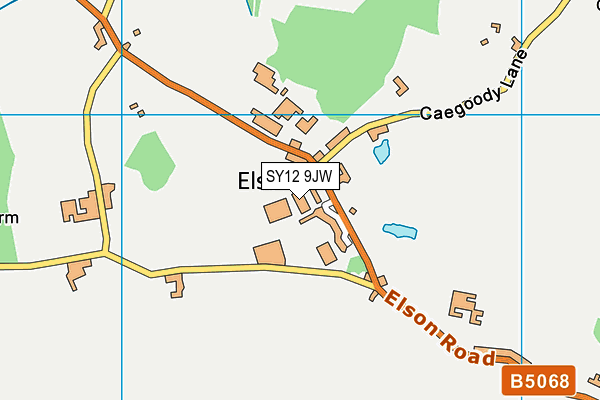SY12 9JW map - OS VectorMap District (Ordnance Survey) SY12 9JW map - OS VectorMap District (Ordnance Survey)