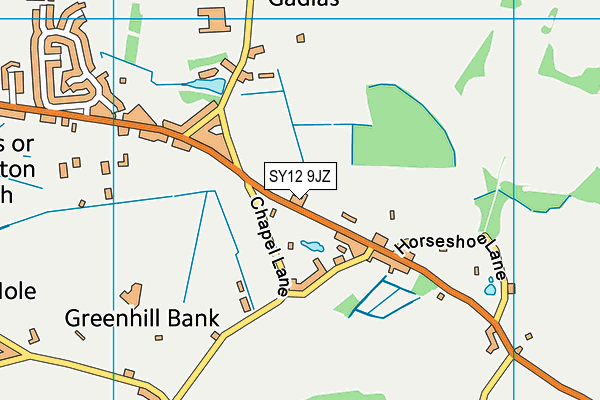 SY12 9JZ map - OS VectorMap District (Ordnance Survey) SY12 9JZ map - OS VectorMap District (Ordnance Survey)