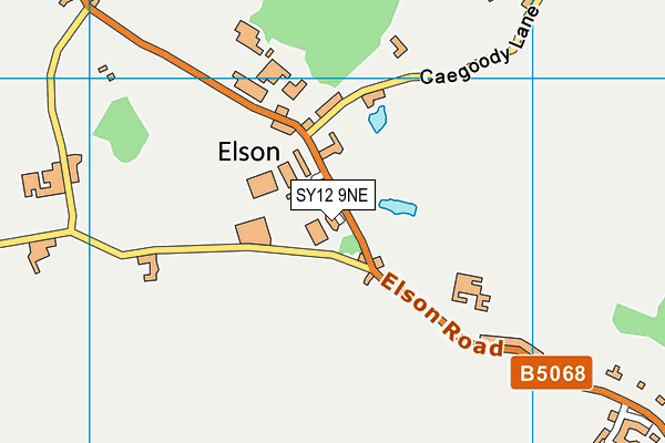 SY12 9NE map - OS VectorMap District (Ordnance Survey) SY12 9NE map - OS VectorMap District (Ordnance Survey)