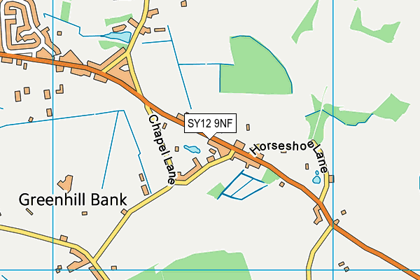 SY12 9NF map - OS VectorMap District (Ordnance Survey) SY12 9NF map - OS VectorMap District (Ordnance Survey)