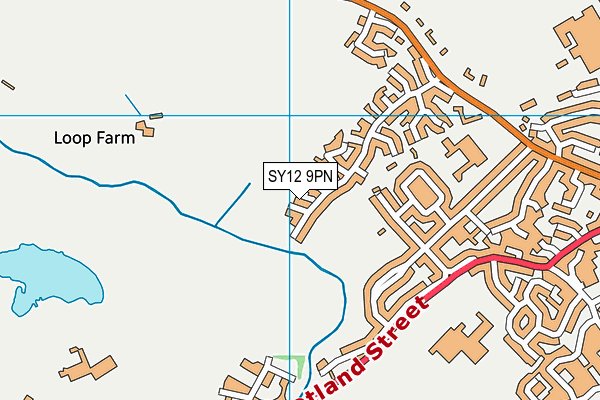 SY12 9PN map - OS VectorMap District (Ordnance Survey) SY12 9PN map - OS VectorMap District (Ordnance Survey)