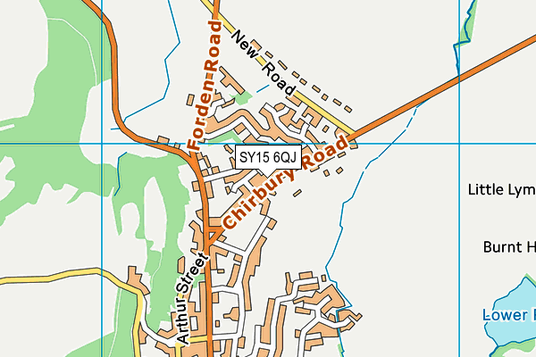 SY15 6QJ map - OS VectorMap District (Ordnance Survey) SY15 6QJ map - OS VectorMap District (Ordnance Survey)