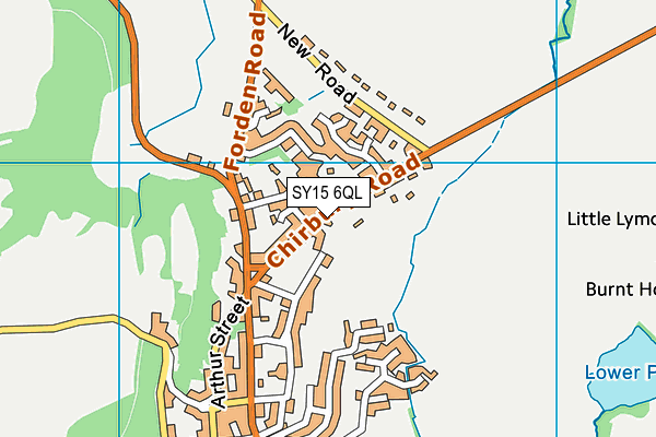 SY15 6QL map - OS VectorMap District (Ordnance Survey) SY15 6QL map - OS VectorMap District (Ordnance Survey)
