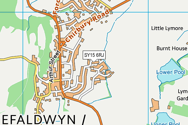 SY15 6RJ map - OS VectorMap District (Ordnance Survey) SY15 6RJ map - OS VectorMap District (Ordnance Survey)