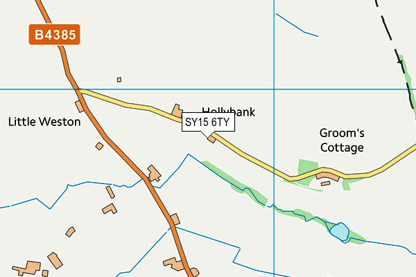 SY15 6TY map - OS VectorMap District (Ordnance Survey) SY15 6TY map - OS VectorMap District (Ordnance Survey)