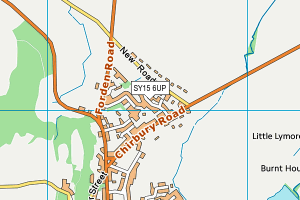 SY15 6UP map - OS VectorMap District (Ordnance Survey) SY15 6UP map - OS VectorMap District (Ordnance Survey)