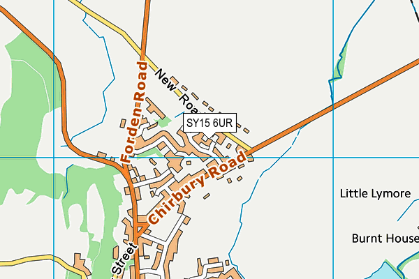 SY15 6UR map - OS VectorMap District (Ordnance Survey) SY15 6UR map - OS VectorMap District (Ordnance Survey)