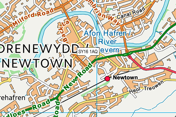 SY16 1AQ map - OS VectorMap District (Ordnance Survey)