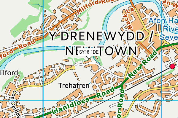 SY16 1DE map - OS VectorMap District (Ordnance Survey) SY16 1DE map - OS VectorMap District (Ordnance Survey)