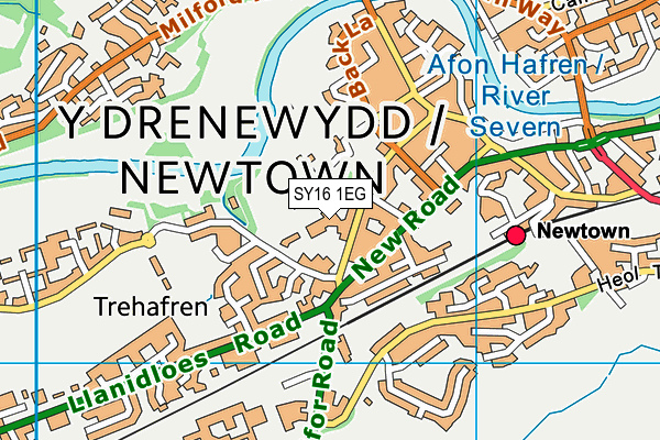 SY16 1EG map - OS VectorMap District (Ordnance Survey)