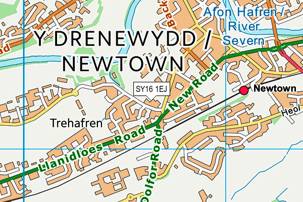 SY16 1EJ map - OS VectorMap District (Ordnance Survey) SY16 1EJ map - OS VectorMap District (Ordnance Survey)