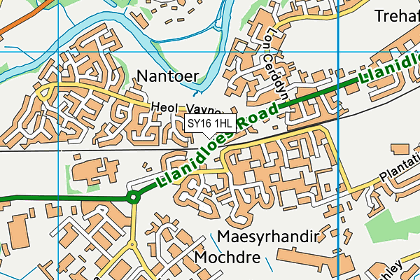 SY16 1HL map - OS VectorMap District (Ordnance Survey) SY16 1HL map - OS VectorMap District (Ordnance Survey)