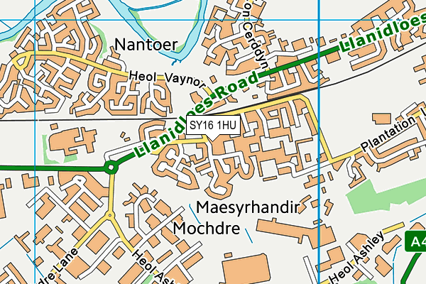 SY16 1HU map - OS VectorMap District (Ordnance Survey) SY16 1HU map - OS VectorMap District (Ordnance Survey)