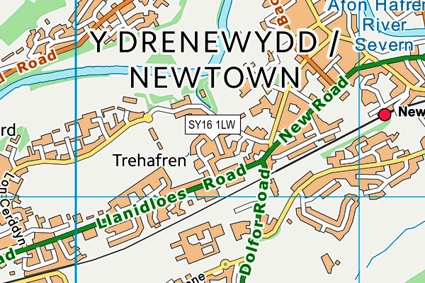 SY16 1LW map - OS VectorMap District (Ordnance Survey) SY16 1LW map - OS VectorMap District (Ordnance Survey)