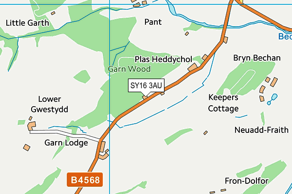 SY16 3AU map - OS VectorMap District (Ordnance Survey) SY16 3AU map - OS VectorMap District (Ordnance Survey)