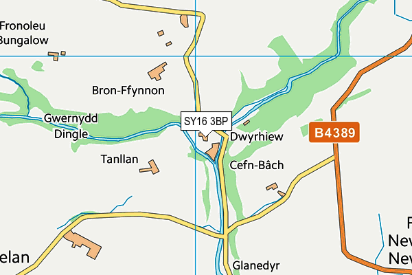SY16 3BP map - OS VectorMap District (Ordnance Survey) SY16 3BP map - OS VectorMap District (Ordnance Survey)