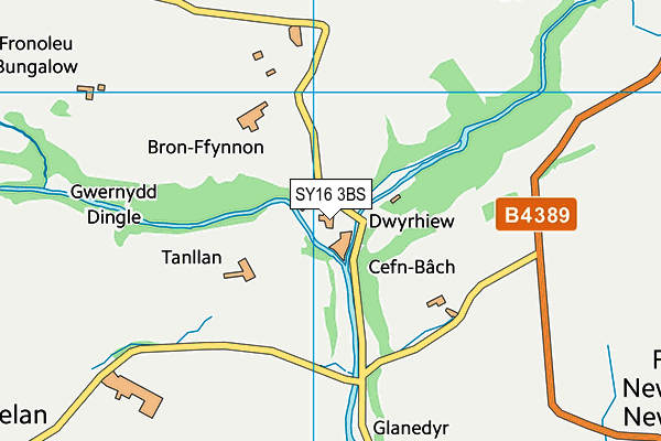SY16 3BS map - OS VectorMap District (Ordnance Survey)