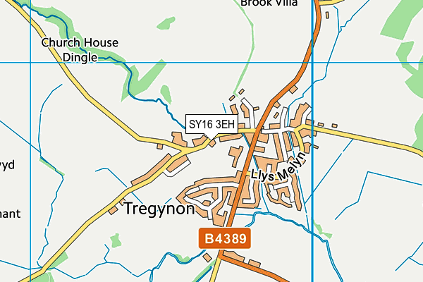 SY16 3EH map - OS VectorMap District (Ordnance Survey) SY16 3EH map - OS VectorMap District (Ordnance Survey)