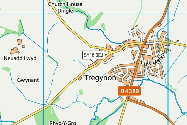 SY16 3EJ map - OS VectorMap District (Ordnance Survey) SY16 3EJ map - OS VectorMap District (Ordnance Survey)