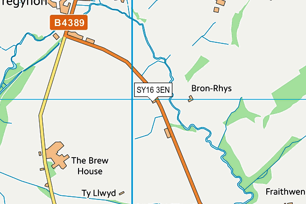 SY16 3EN map - OS VectorMap District (Ordnance Survey)