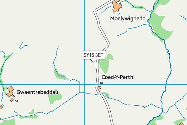 SY16 3ET map - OS VectorMap District (Ordnance Survey) SY16 3ET map - OS VectorMap District (Ordnance Survey)