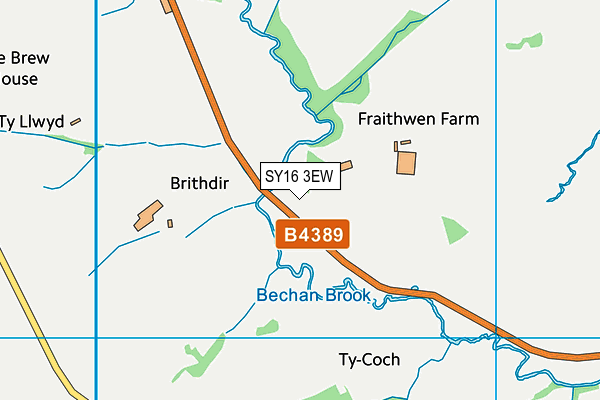 SY16 3EW map - OS VectorMap District (Ordnance Survey) SY16 3EW map - OS VectorMap District (Ordnance Survey)