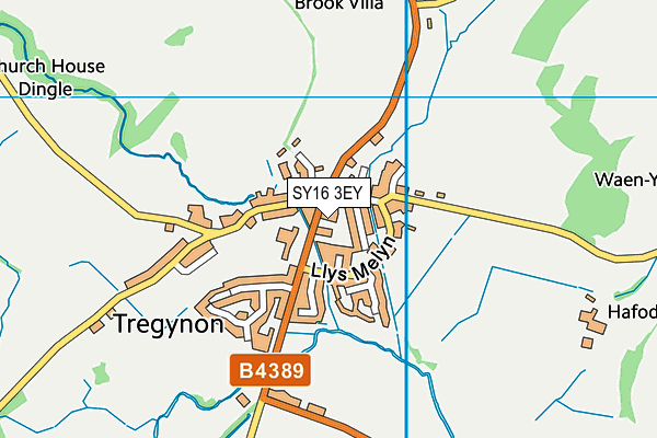 SY16 3EY map - OS VectorMap District (Ordnance Survey) SY16 3EY map - OS VectorMap District (Ordnance Survey)