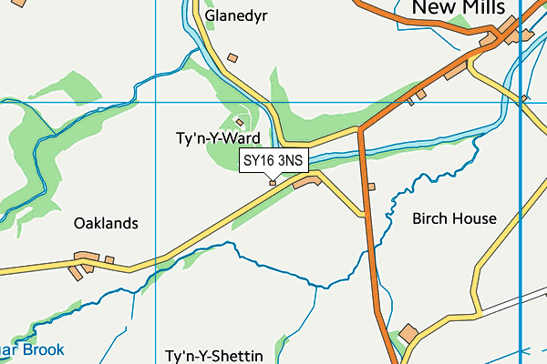 SY16 3NS map - OS VectorMap District (Ordnance Survey) SY16 3NS map - OS VectorMap District (Ordnance Survey)