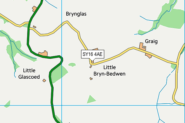 SY16 4AE map - OS VectorMap District (Ordnance Survey) SY16 4AE map - OS VectorMap District (Ordnance Survey)