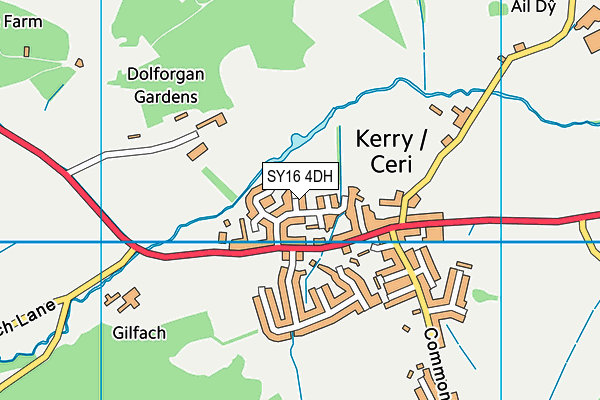 SY16 4DH map - OS VectorMap District (Ordnance Survey)