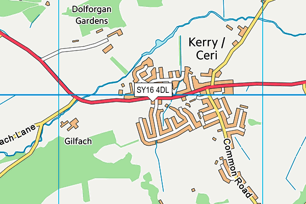 SY16 4DL map - OS VectorMap District (Ordnance Survey) SY16 4DL map - OS VectorMap District (Ordnance Survey)