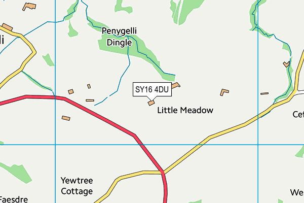 SY16 4DU map - OS VectorMap District (Ordnance Survey) SY16 4DU map - OS VectorMap District (Ordnance Survey)