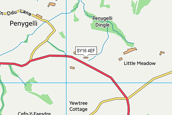 SY16 4EF map - OS VectorMap District (Ordnance Survey) SY16 4EF map - OS VectorMap District (Ordnance Survey)