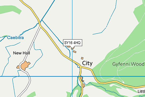 SY16 4HQ map - OS VectorMap District (Ordnance Survey) SY16 4HQ map - OS VectorMap District (Ordnance Survey)