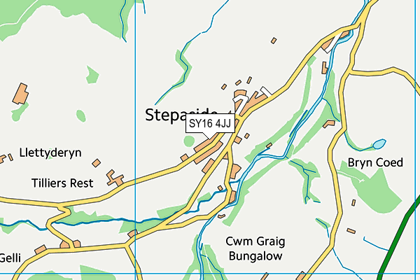 SY16 4JJ map - OS VectorMap District (Ordnance Survey) SY16 4JJ map - OS VectorMap District (Ordnance Survey)