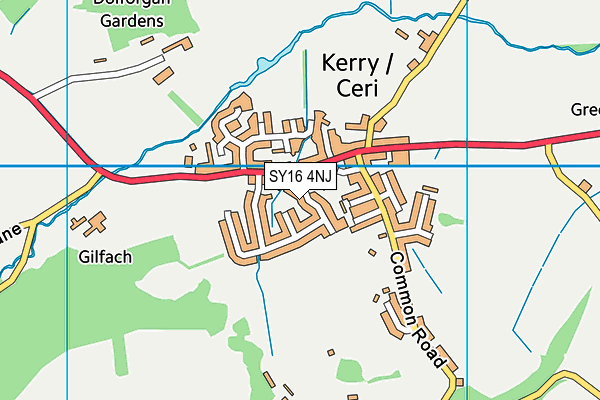 SY16 4NJ map - OS VectorMap District (Ordnance Survey) SY16 4NJ map - OS VectorMap District (Ordnance Survey)