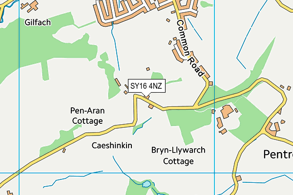 SY16 4NZ map - OS VectorMap District (Ordnance Survey) SY16 4NZ map - OS VectorMap District (Ordnance Survey)