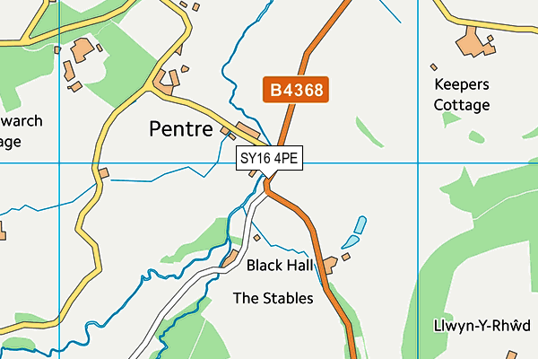 SY16 4PE map - OS VectorMap District (Ordnance Survey) SY16 4PE map - OS VectorMap District (Ordnance Survey)