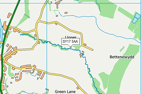 SY17 5AA map - OS VectorMap District (Ordnance Survey) SY17 5AA map - OS VectorMap District (Ordnance Survey)