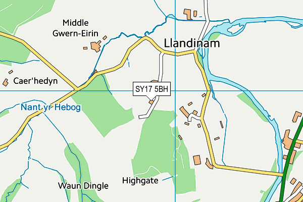 SY17 5BH map - OS VectorMap District (Ordnance Survey) SY17 5BH map - OS VectorMap District (Ordnance Survey)
