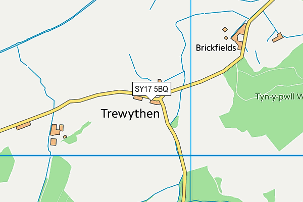 SY17 5BQ map - OS VectorMap District (Ordnance Survey) SY17 5BQ map - OS VectorMap District (Ordnance Survey)