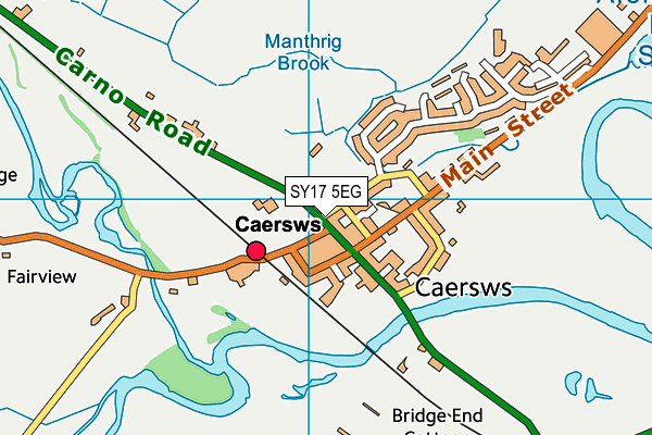 SY17 5EG map - OS VectorMap District (Ordnance Survey)