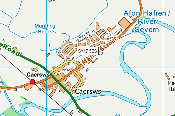 SY17 5ES map - OS VectorMap District (Ordnance Survey) SY17 5ES map - OS VectorMap District (Ordnance Survey)