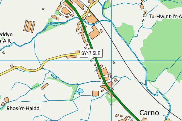 SY17 5LE map - OS VectorMap District (Ordnance Survey)