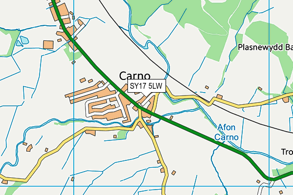 SY17 5LW map - OS VectorMap District (Ordnance Survey) SY17 5LW map - OS VectorMap District (Ordnance Survey)