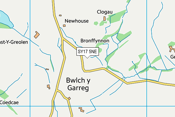 SY17 5NE map - OS VectorMap District (Ordnance Survey) SY17 5NE map - OS VectorMap District (Ordnance Survey)