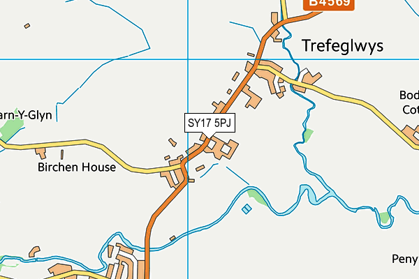 SY17 5PJ map - OS VectorMap District (Ordnance Survey) SY17 5PJ map - OS VectorMap District (Ordnance Survey)