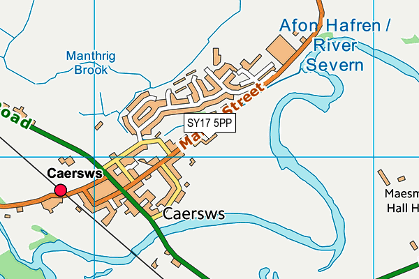 SY17 5PP map - OS VectorMap District (Ordnance Survey) SY17 5PP map - OS VectorMap District (Ordnance Survey)