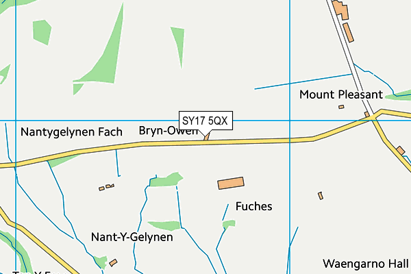SY17 5QX map - OS VectorMap District (Ordnance Survey) SY17 5QX map - OS VectorMap District (Ordnance Survey)