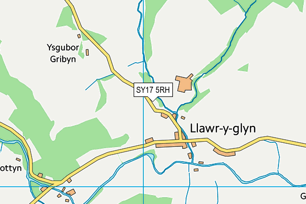 SY17 5RH map - OS VectorMap District (Ordnance Survey) SY17 5RH map - OS VectorMap District (Ordnance Survey)